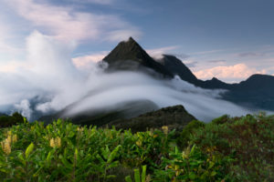 Berg Cimandef vom Col des Boeufs, Reunion, Berg Cimandef vom Col des Boeufs, Reunion,